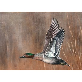 2020 Arkansas Ducks Unlimited Sponsor Print Signed AP Green-Winged Getaway