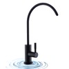 WEWE Matte Black Drinking Water Faucet Non Air Gap Stainless