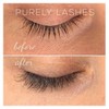 Purely Lashes Lash Growth Serum 3.5ml
