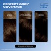 Clairol Lasting Colour Permanent Hair Dye | Perfect Grey Coverage