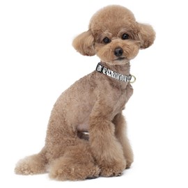 TMOODEL Reflective Dog Collar, Cute Boho Dog Collar for Small Dogs, Soft Nylon Puppy Collar for Boy and Girl Female Dog, Adjustable Heavy-Duty Pet Collars with Quick Release Buckle,Stylish Zebra Print