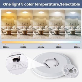 NIORSUN 12 inch Flush Mount LED Ceiling Light Fixture,Dimmable 3000K/3500K/4000K/5000K/6500K Adjustable Ceiling Lights,Ultra Thin White Round Lamp,24W Ceiling Light for Hallway Kitchen Bedroom,1pack
