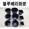 5 blueberry flower pots, rubber flower pots, large flower pots, large flower pots, 5 blueberry flower pots / 블루베리화분 5개 화분 고무화분 대형화분 큰화분, 블루베리화분 대 5개