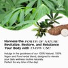 Cassava Leaves Powder - 100% Pure, Organic Dried Leaf Powder