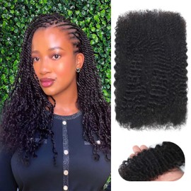 Afro Kinkys Bulk Human Hair for Dreadlock Extensions Repair Locs 50 Gram/Pack Natural Black Color 16 inch Mini Twist Braiding Afro Kinky Human Hair for Locs