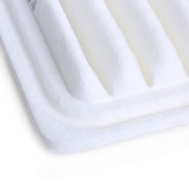 RIDEX 8A0139 Engine Air Filter Recirculation Filter
