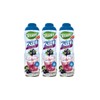 Pack 3 Sugar Free Blackcurrant Syrups Teisseire