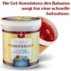 SwissMedicus Horse Balm Massage Gel with 25 Herbal Extracts (Beinwell,