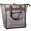 Rachael Ray Soft Insulated Cooler Bag, Gray