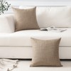 Artscope Light Coffee Cushion Covers Set of 2 Linen Decorative