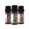 Essences Bulgaria Set Bliss Organic Essential Oils - Rosemary |