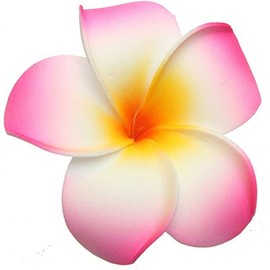 10 Pcs Colorful 7cm Hawaii Hawaiian Plumeria Hair Clips Beach Flower Headpieces for Wedding Party, Hair Styling Accessories
