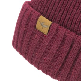 SEALSKINZ | Bacton | Unisex Waterproof Cold Weather Roll Cuff Beanie Hat | Everyday Use & Outdoor Activity | Three-Layer Insulation Technology | Microfleece Lining Red