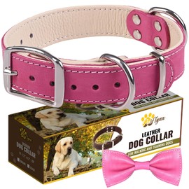 ADITYNA Padded Pink Leather Dog Collar for Female Dogs- Girl Dog Collars for Medium Dogs (Pink, M)