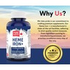 PURE NORTH NATURALS Pure North Naturals - Heme Iron 60