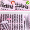 ALICE Natural Lash Clusters Wispy Eyelash Extensions Manga Clusters Lashes