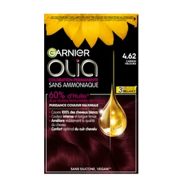 GARNIER Olia Colouration No. 4.62 Carmin Velour