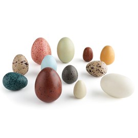 TUGO Wooden Eggs Toys - Pretend Play Kids Educational Toys Shape Recognition Egg Toys Simulation Egg Play Set Decorative Tools Wooden Toys Easter Egg Boys Girls Birthday Gifts (12 Pcs)