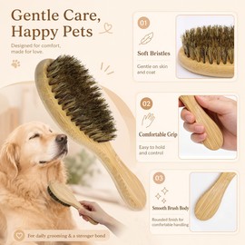 Soft Colorful Bristle Dog Brush for Short Haired Dogs and Cats, Gentle Pet Grooming Brush with Wooden Handle, Daily Shedding and Coat Smoothing Tool for Puppies, Kittens and Small Pets