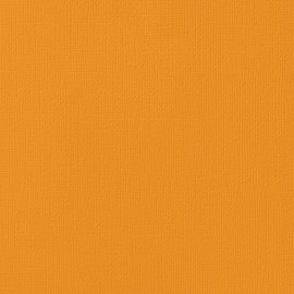 American Crafts Tex Tured Cardstock-Butterscotch 12 x 12