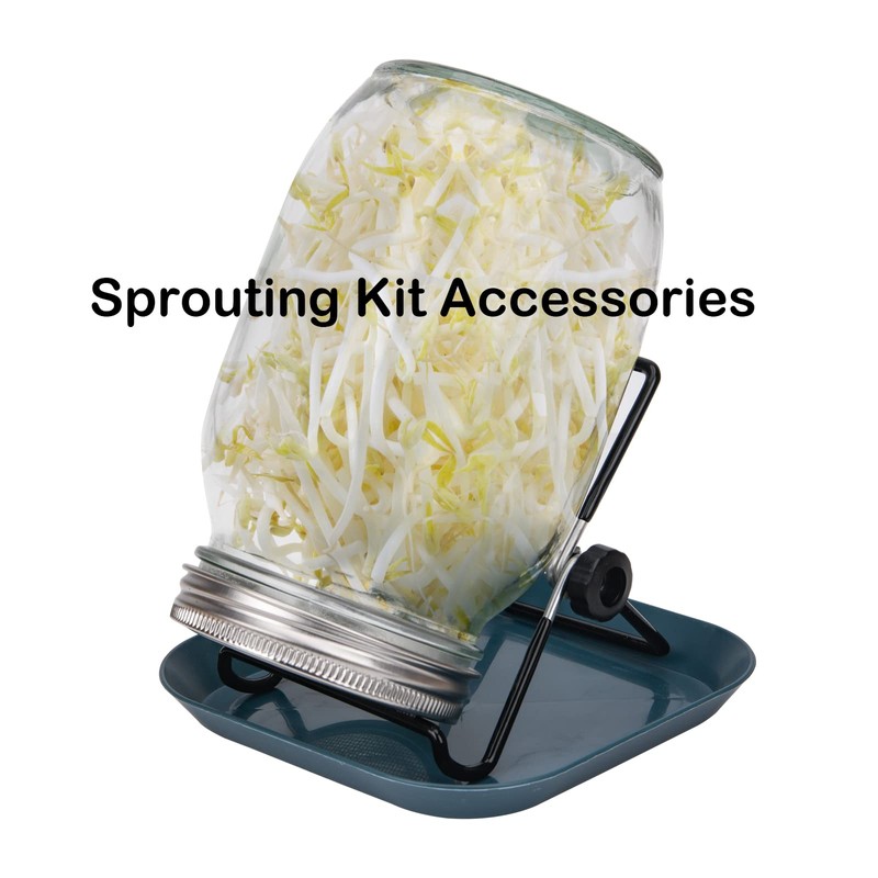 Lulonpon 4 Pieces Sprouting Lids, 304 Stainless Steel Screen Sprout