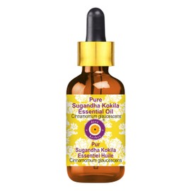 Deve Herbes Pure Sugandha Kokila Essential Oil (Cinnamomum glaucescens) 100% Natural Therapeutic Grade Steam Distilled with Glass Dropper 15ml (0.50 oz)