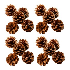 Ashuxxn Pack of 48 Christmas Pine Cones Decoration Natural Pine Cones with String Pine Cones with String Ornaments for Christmas Party Hanging (Wood Colour)