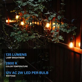 GOODSMANN LED Low Voltage String Lights 12V AC 50FT 10PCS 2W Bulbs 135 Lumens Hanging Landscape Lighting 2800K String Weatherproof Decorative Light for Patio Light