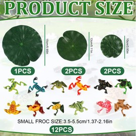 Realistic Frog Figurine Set – 12PCS Hand-Painted PVC Miniatures, Lifelike Amphibian Models, Home & Garden Decor, Educational Toys for Collectors and Enthusiasts