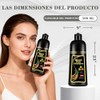 shampoo con tinte 3 en 1,Champú Colorante para Teñir el