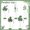 Ceenna 30 Pcs 6 Kinds Mixed Eucalyptus Leaves Stems Bulk