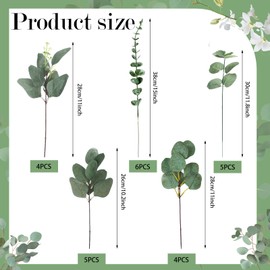 Ceenna 30 Pcs 6 Kinds Mixed Eucalyptus Leaves Stems Bulk Artificial Eucalyptus Leaves Sprays Silver Dollar Faux Greenery Picks Bundle for Wedding Vase Floral Arrangement Decor