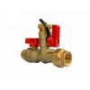 Libra Supply Thread 3/4'' IPS Tankless Water Heater Service Valve