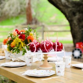 Daydream Society On The Farm Paper Party Cups, Pack of 8