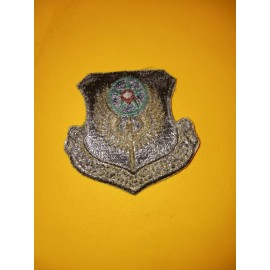US Air Force SPECIAL OPERATIONS COMMAND SOC USAF Subdued Squadron Patch