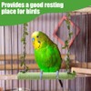 Bird Swing,Wooden Parrot Perch Stand,Swing Hanging Toys With 2PCS Metal
