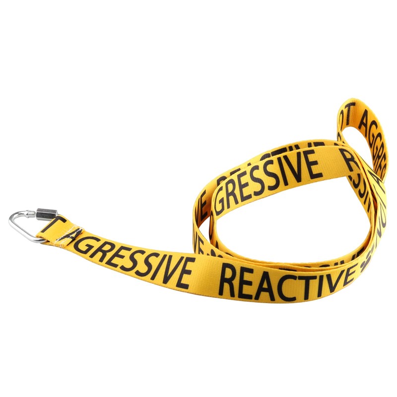 Reactive Not Aggressive Dog Lead Dog Leash Dot Not Pet