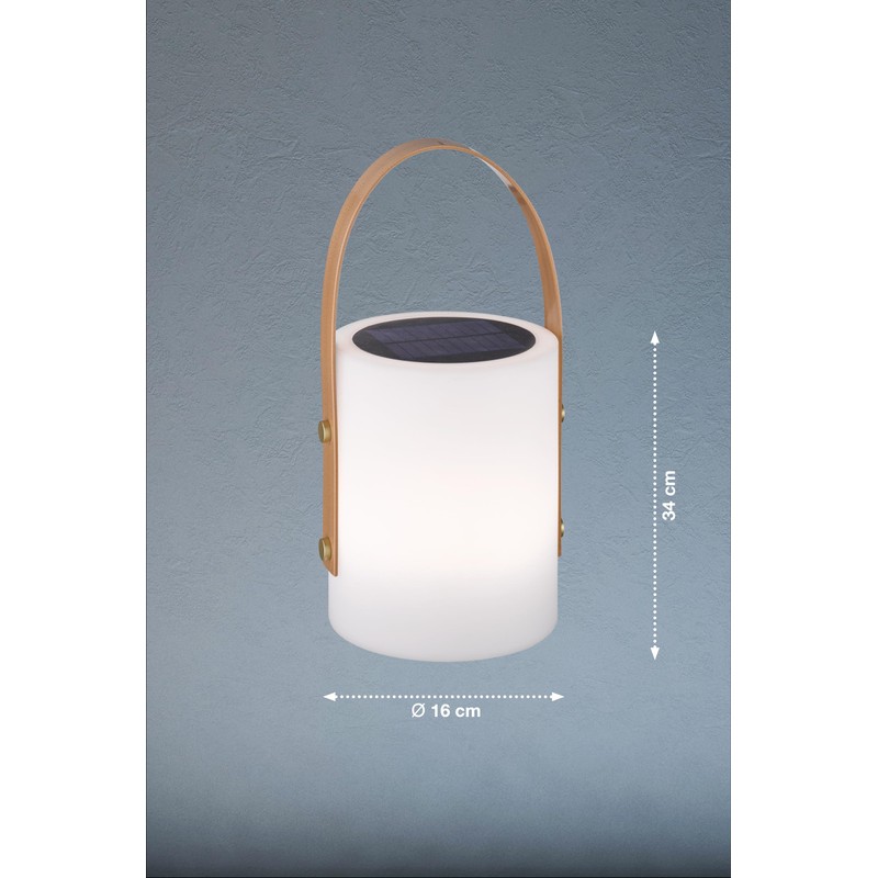 FHL easy! Bari Solar Outdoor Table Lamp, 1x LED 0.5