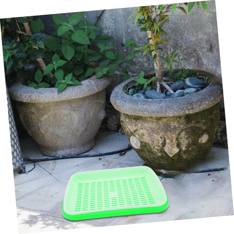 Kisangel 1set Multi-Functional Sprout Trays Wheatgrass Storage Trays Vegetable Starter