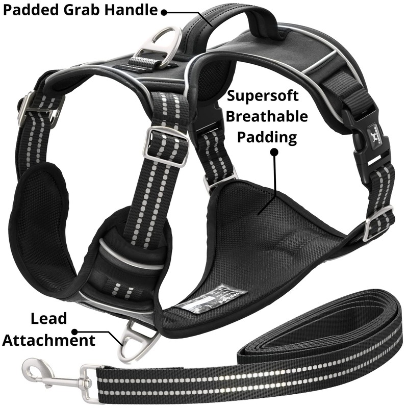 TUFFDOG Easy-Fit Dog Harness Small - Fast Release Neck Clip,