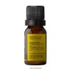 Aceite Esencial de Jengibre 100% Puro | Zingiber officinale |