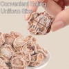 Dried Plum 10oz Fermented Plum Deliciously Salty & Sour Dried