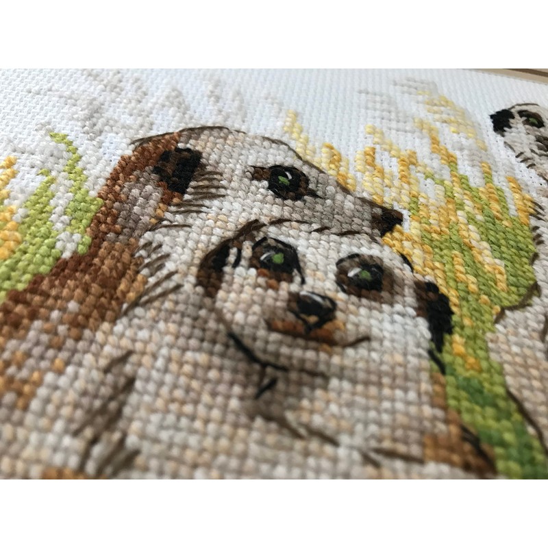 Riolis 1761 - Meerkats - Cross Stitch Kit 9¾" x