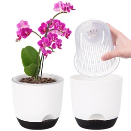 Set of 2 Orchid Pot, 5.8 Inch Double Layer Design - Transparent Self Watering Pot with Planter, Orchid Watering System, Flower Pot for Orchids (White)