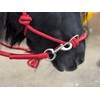 Rope headcollar with Reins for use of Bitless Horse Riding