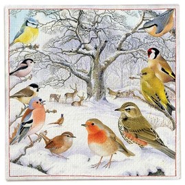 Bird meeting Napkins 33 x 33 cm