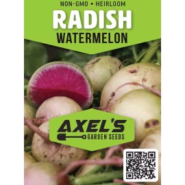 Axel's Garden Seeds Watermelon Radish Seeds | Non-GMO | Heirloom | Fresh Vegetable Seeds - 25 Seeds