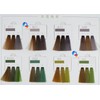 MUSK Professional Hair Salon MOCHEQI Musk Colour Cream Hair Color