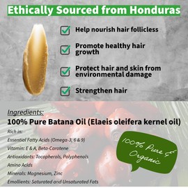 Northway OneStore Botana Oil Hair Growth Batana Oil for Hair Growth Dr Sebi Organic,100 percent Pure Botana from Honduras, Raw Bantana Natural, Spoiled Aceite De batana, Bantan (120gm, Chocolate/Coffee)