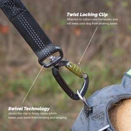 Tuff Mutt Hands Free Dog Leash for Running, Walking, Hiking, Durable Dual-Handle Bungee Leash is 4 Feet Long with Reflective Stitching, Adjustable Waist Belt That Fits 42 Inch Waist (Carabiner/Gray)